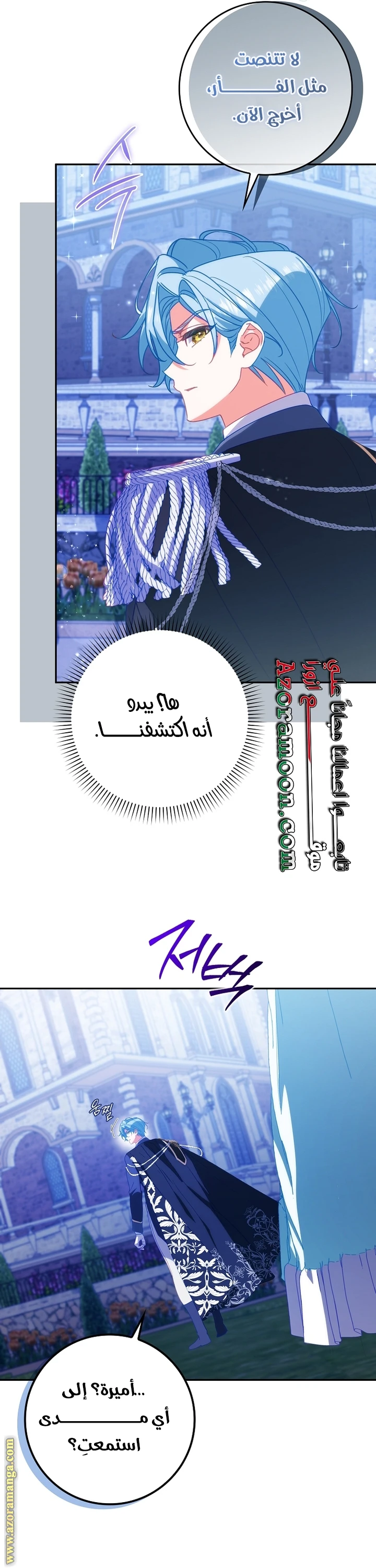 الصفحة 25