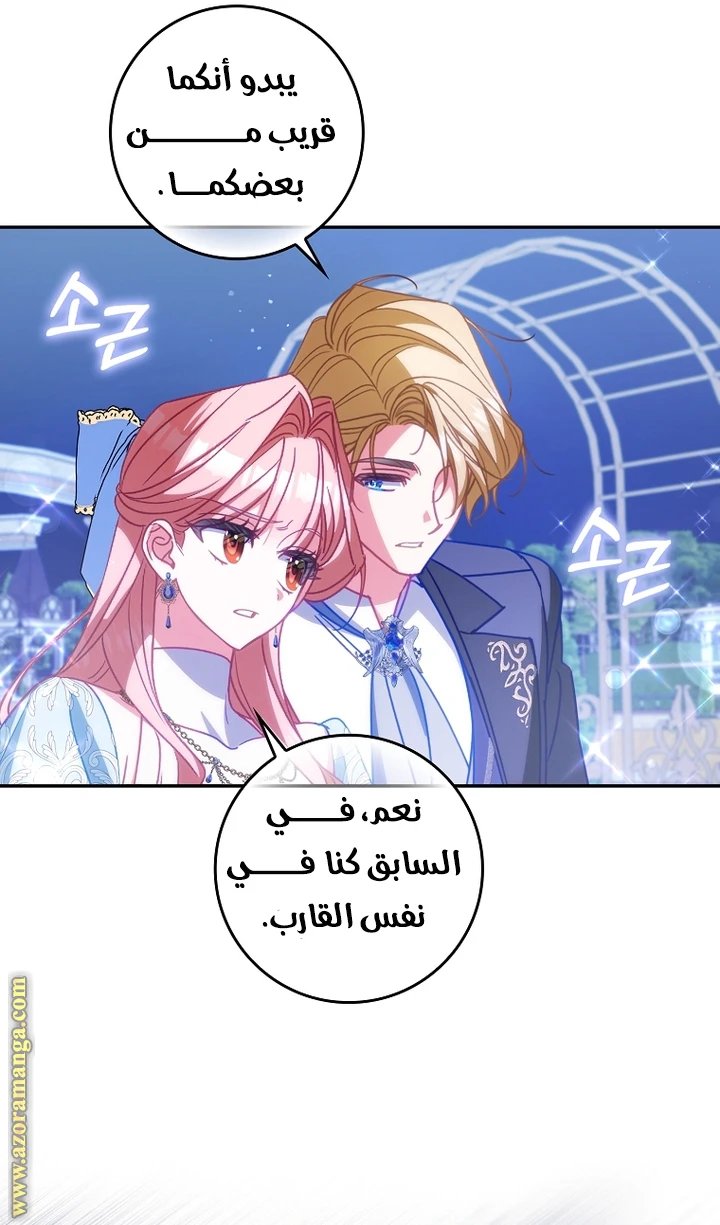الصفحة 27