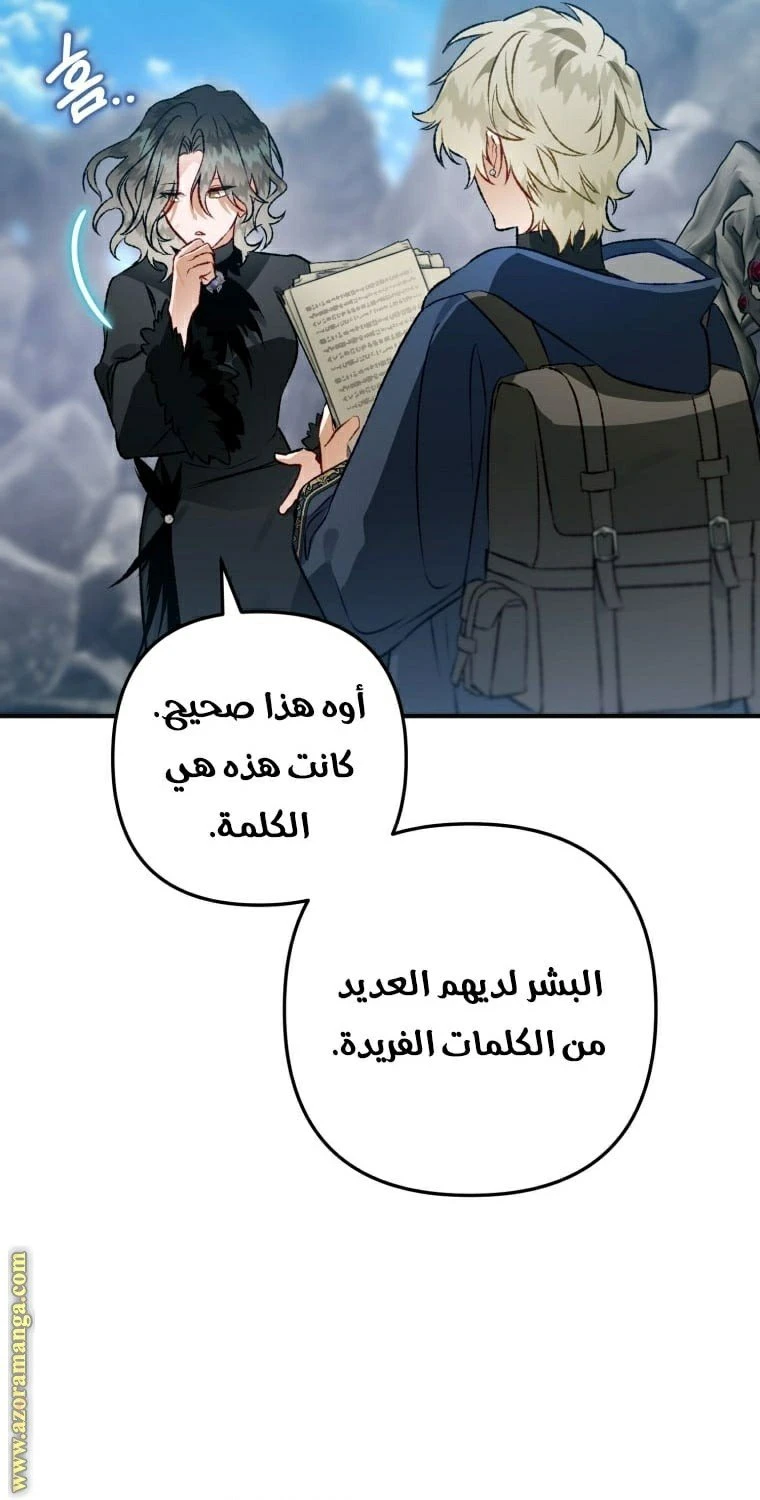 الصفحة 24