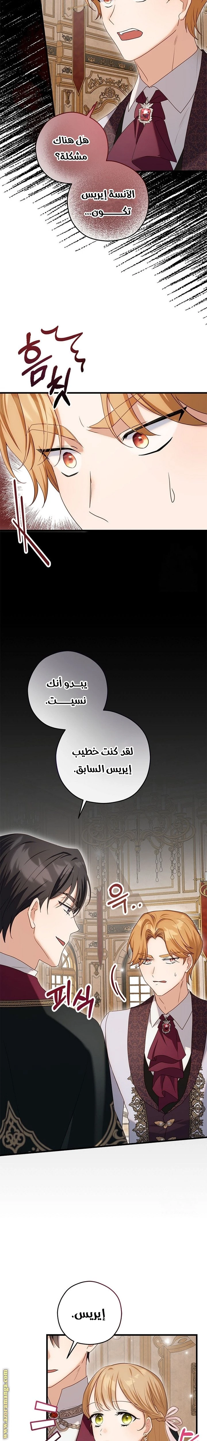 الصفحة 11