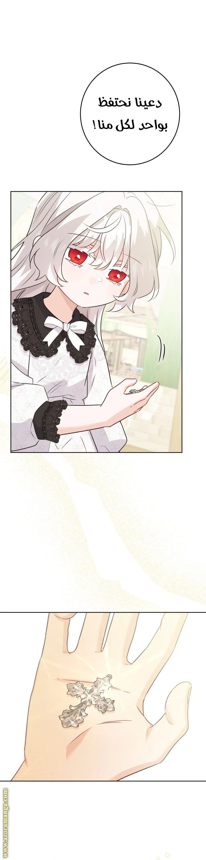 الصفحة 17