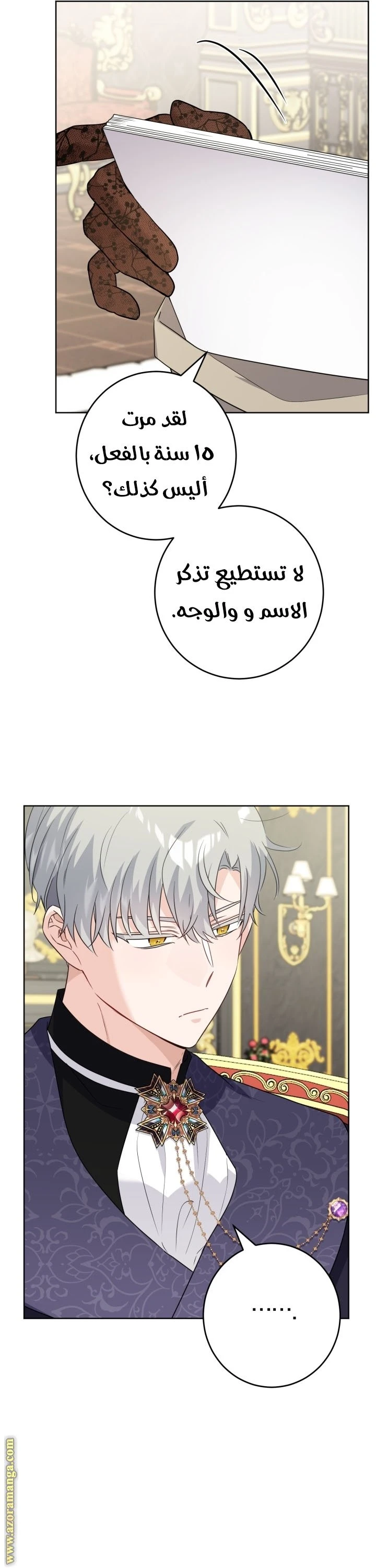 الصفحة 29