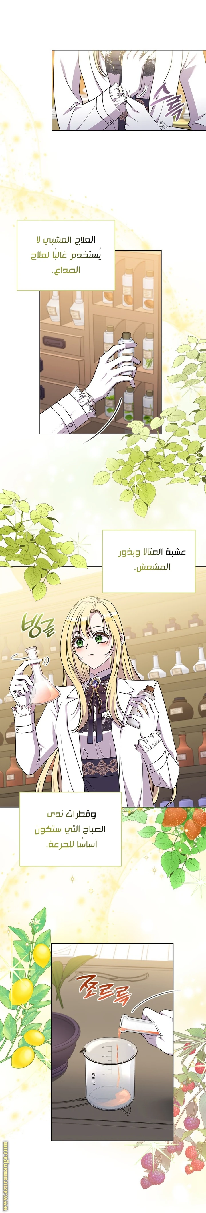 الصفحة 27