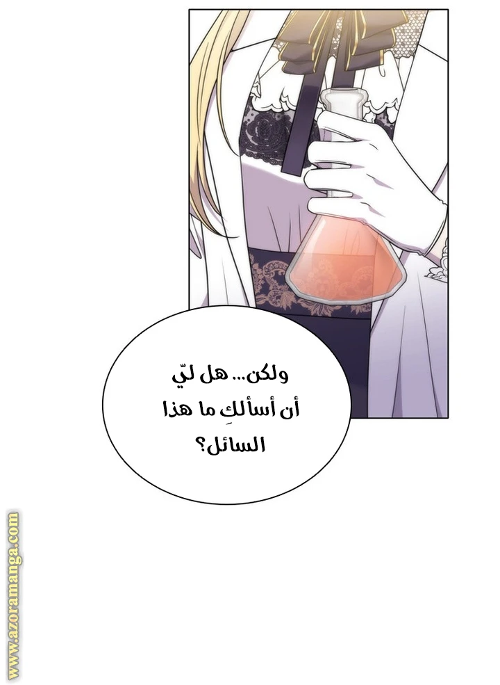 الصفحة 32