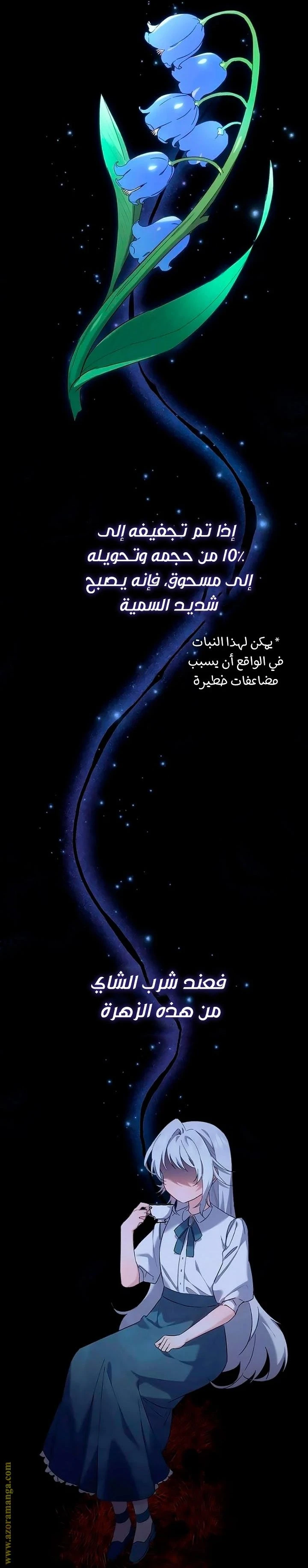 الصفحة 8