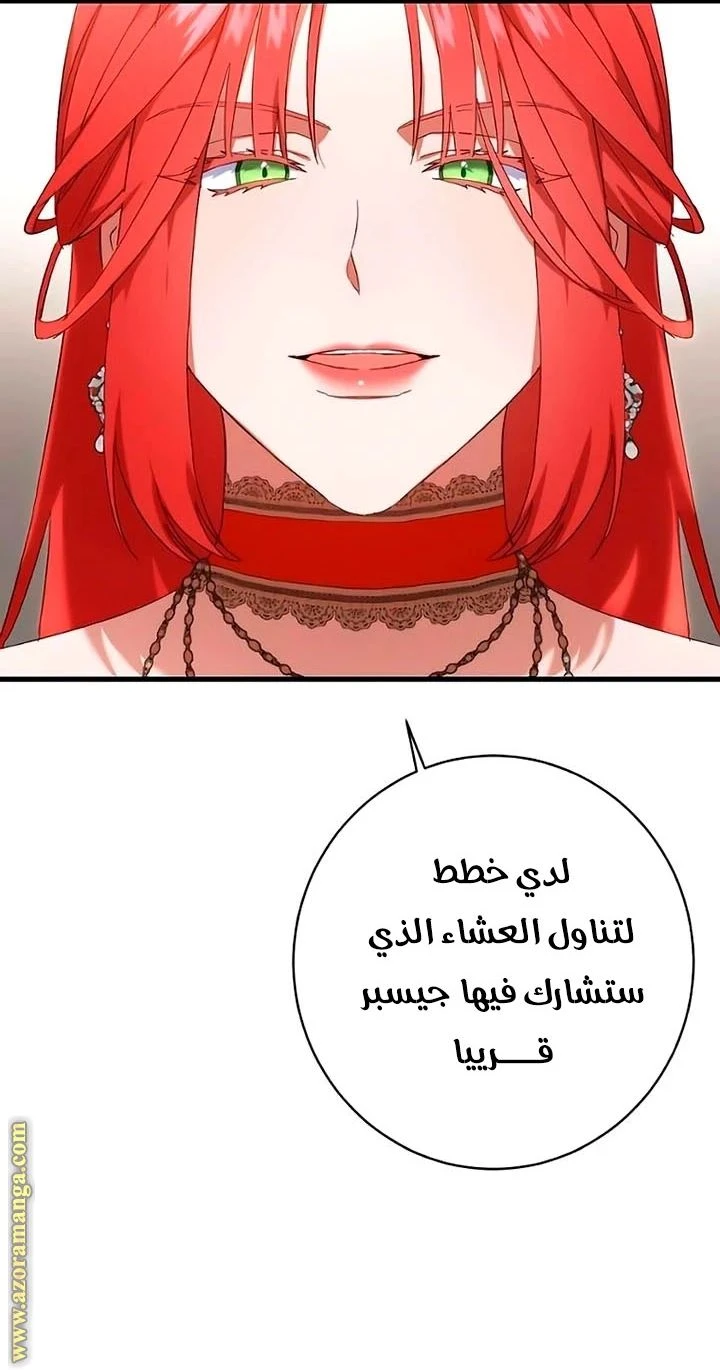 الصفحة 20