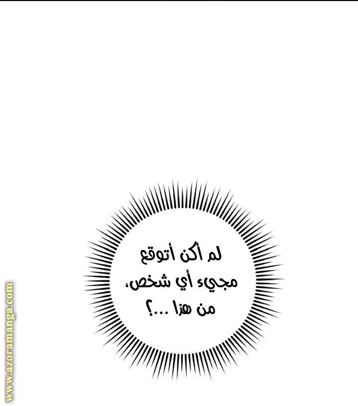 الصفحة 25