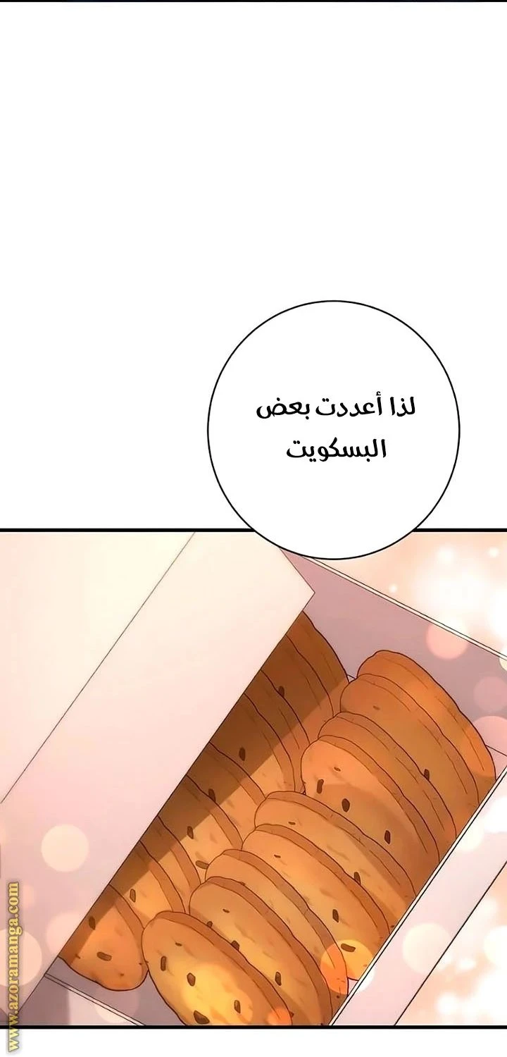 الصفحة 31