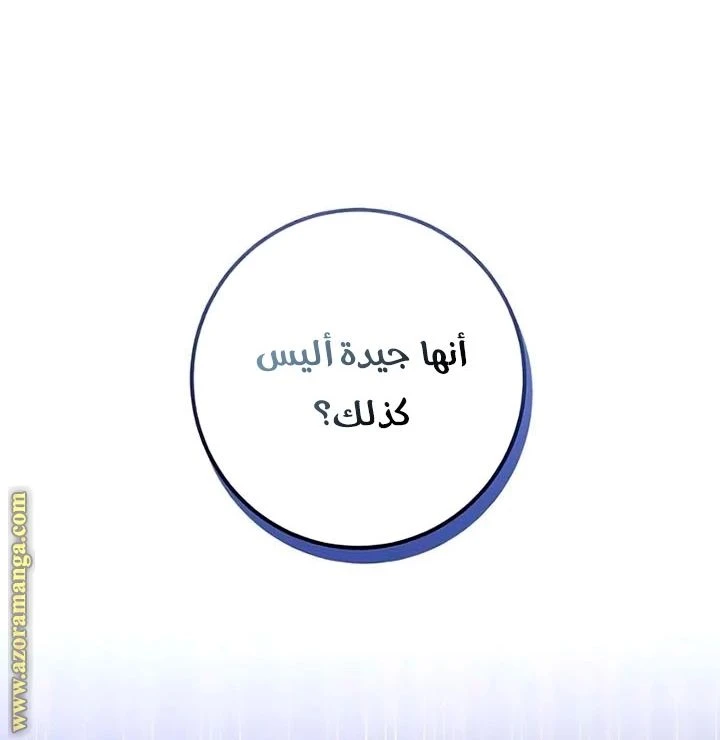 الصفحة 43