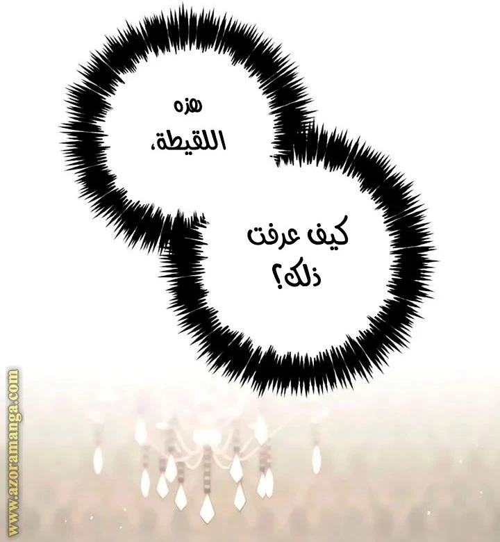 الصفحة 53