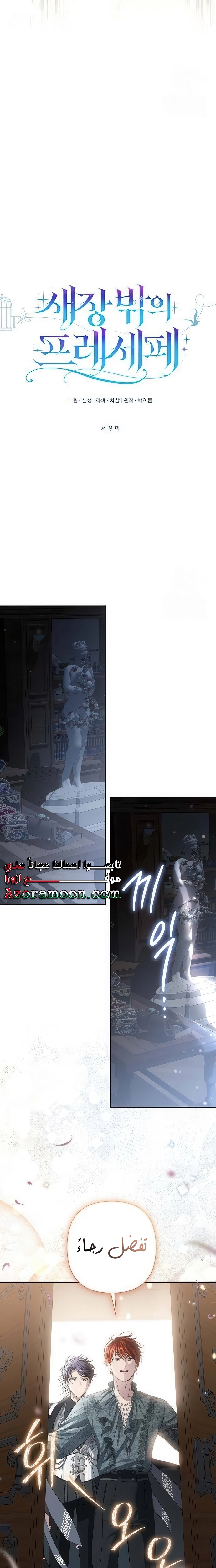 الصفحة 17
