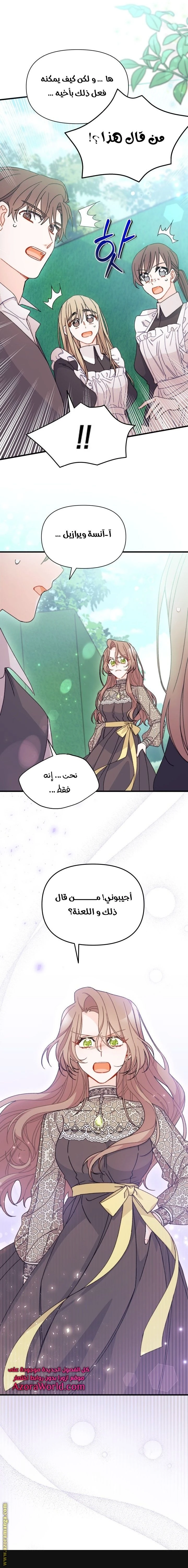 الصفحة 17