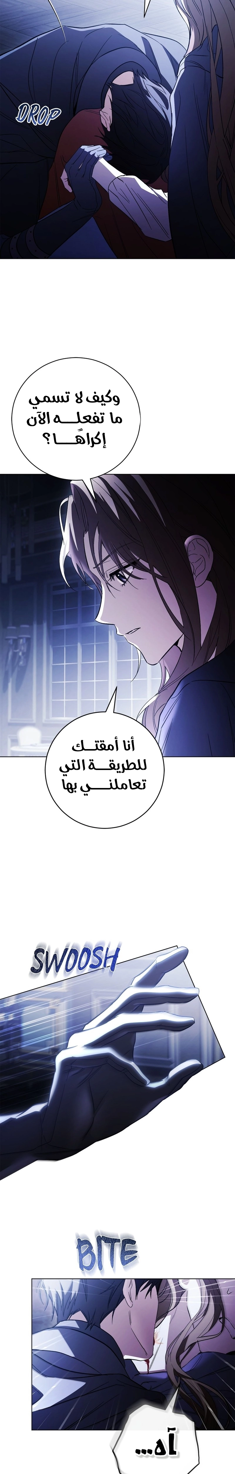 الصفحة 24