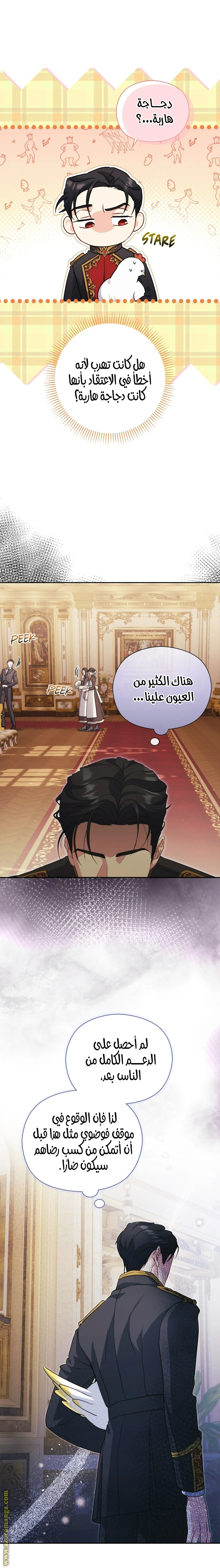 الصفحة 5