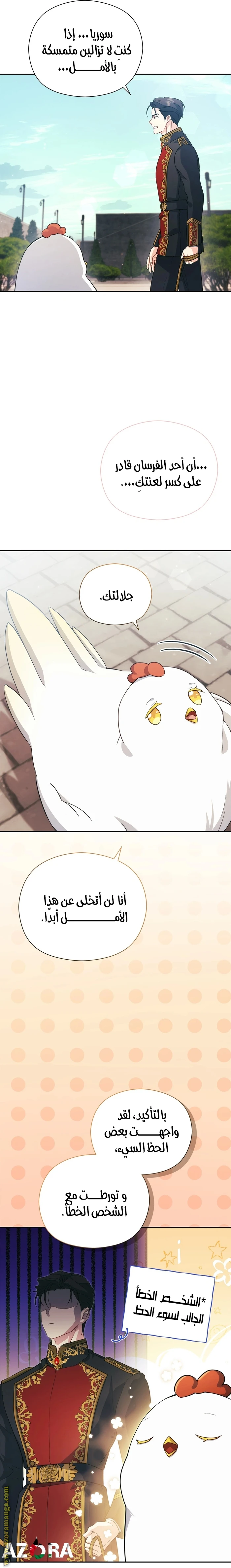 الصفحة 11