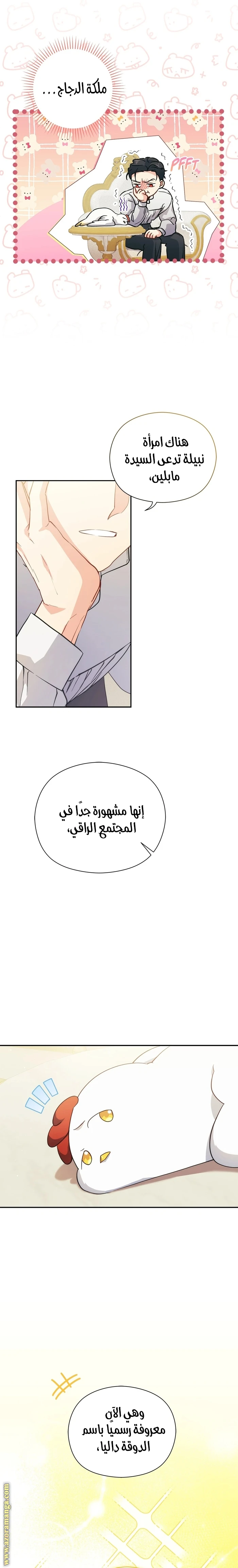 الصفحة 22