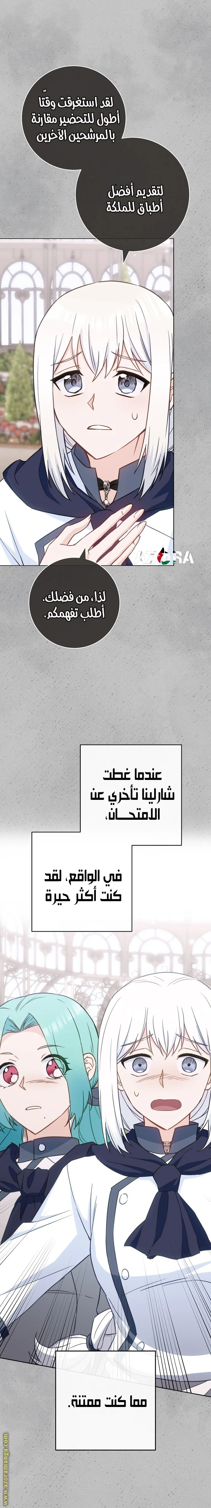 الصفحة 13