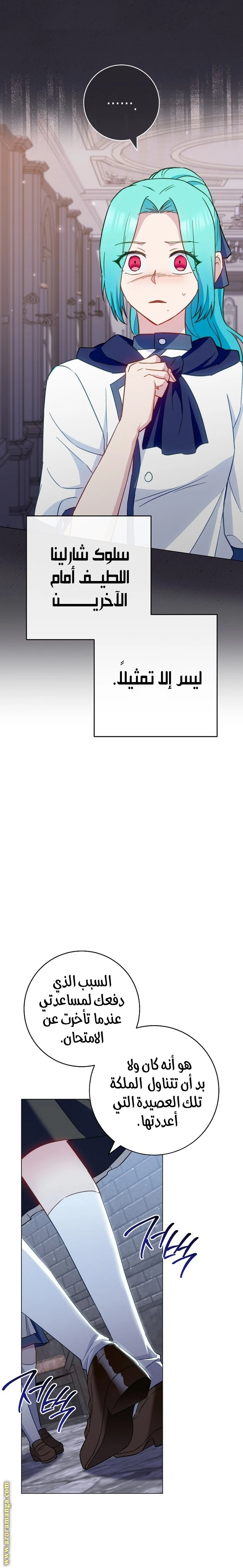 الصفحة 17