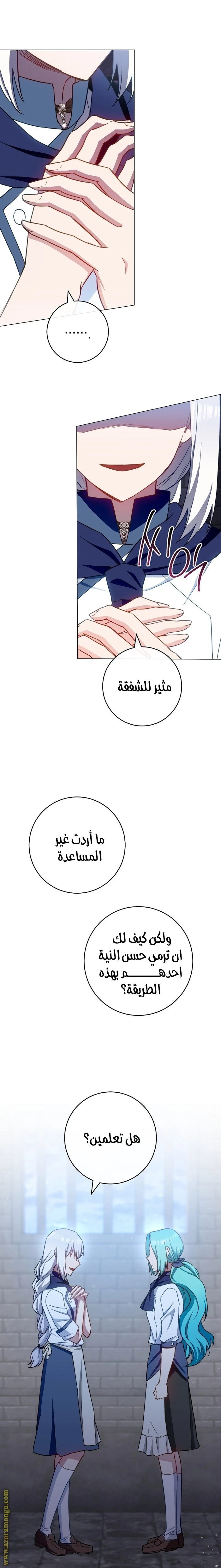 الصفحة 19