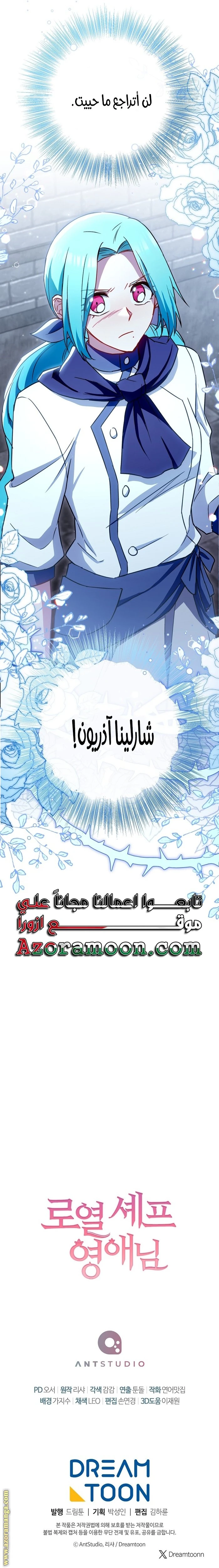 الصفحة 28