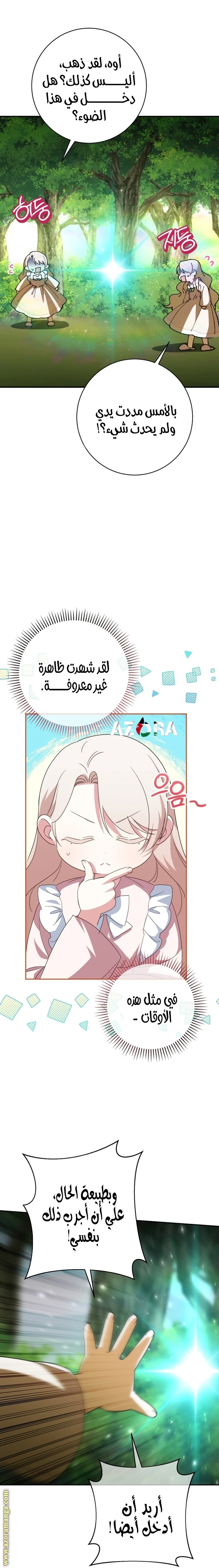 الصفحة 25