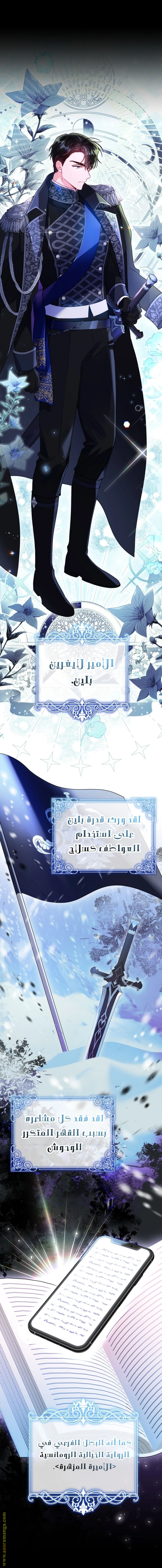 الصفحة 12