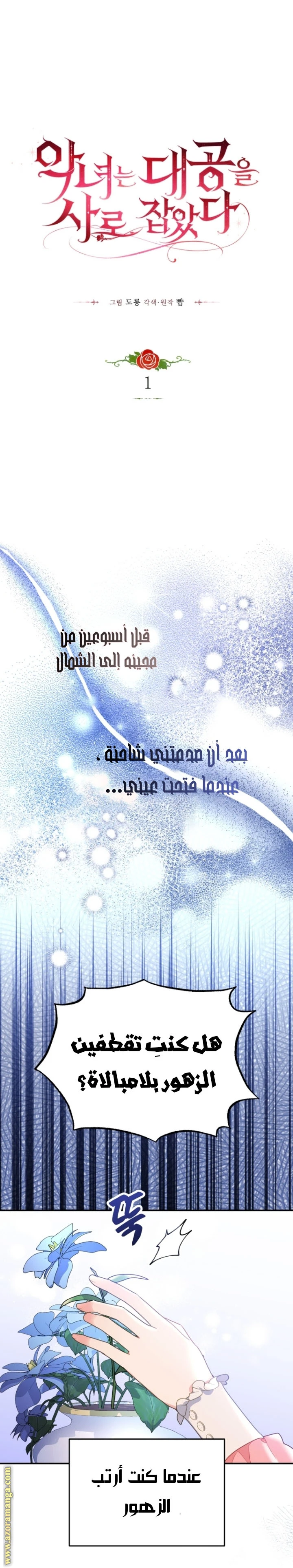 الصفحة 16