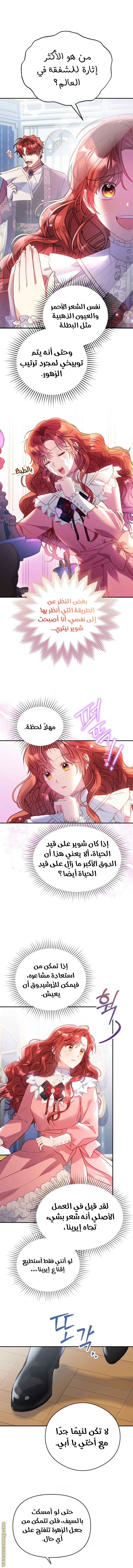 الصفحة 19