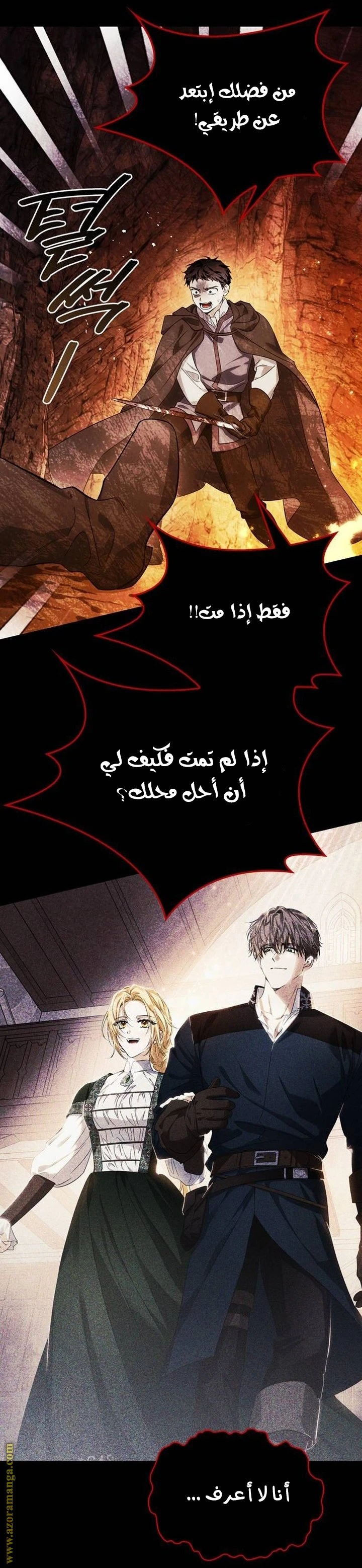 الصفحة 25