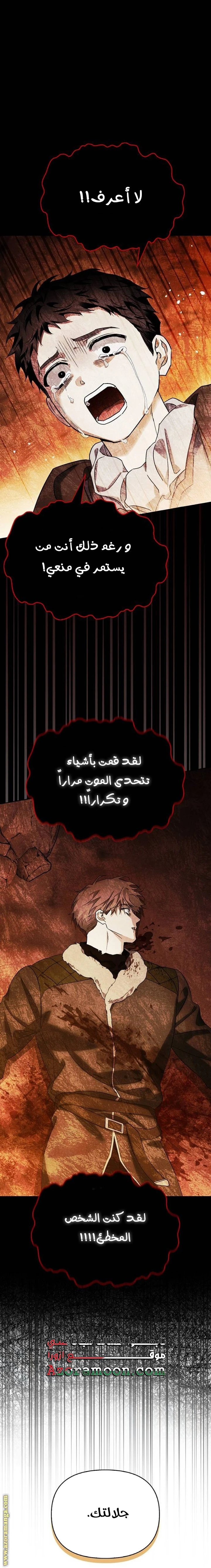الصفحة 26