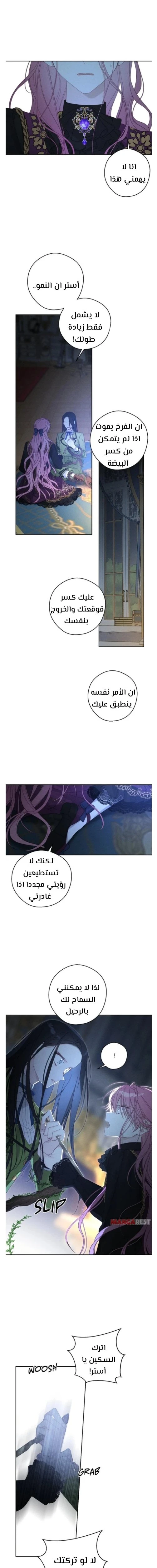الصفحة 10