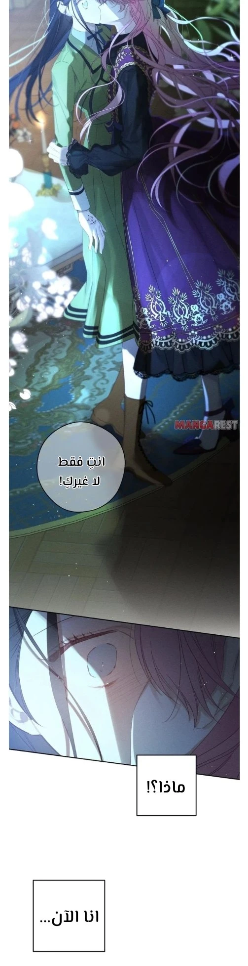 الصفحة 17