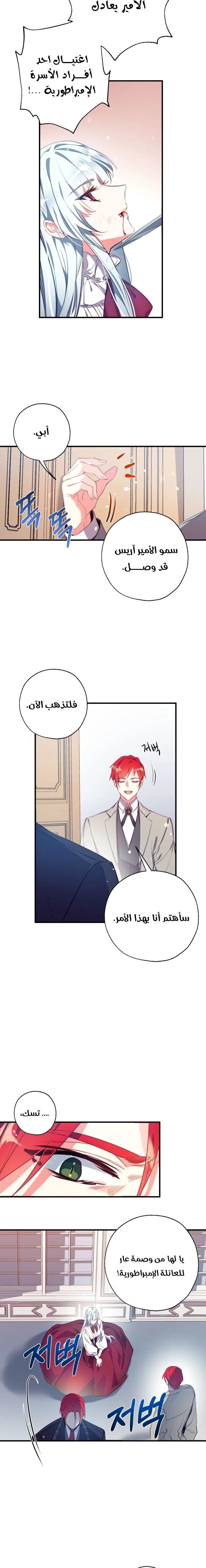 الصفحة 11