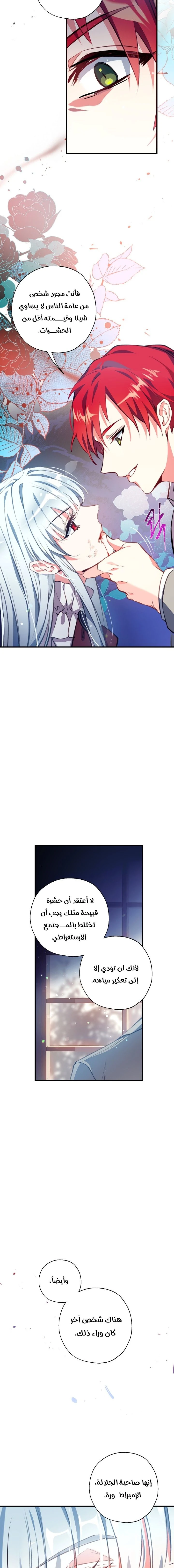 الصفحة 13