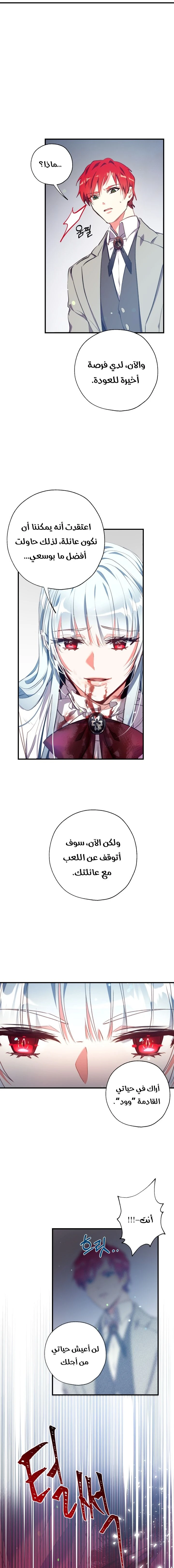 الصفحة 17