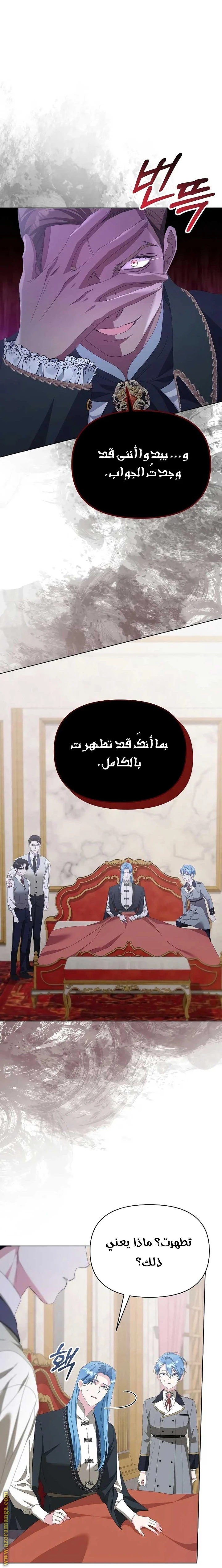 الصفحة 17