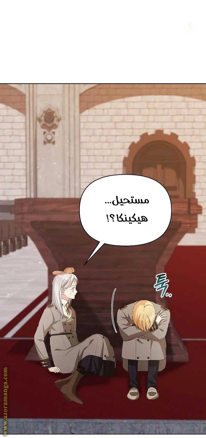 الصفحة 41