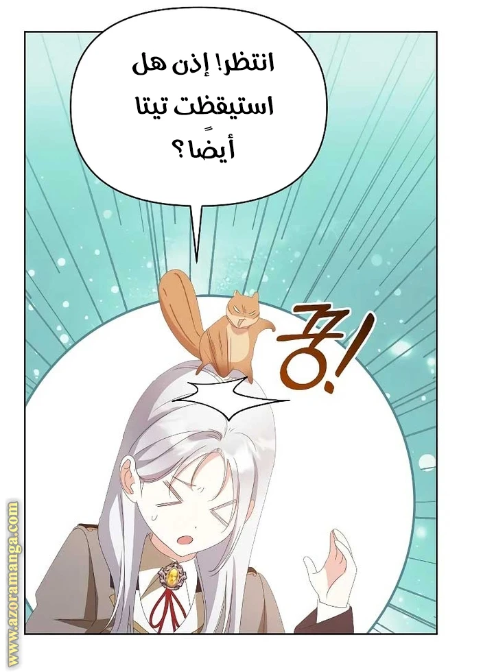 الصفحة 47