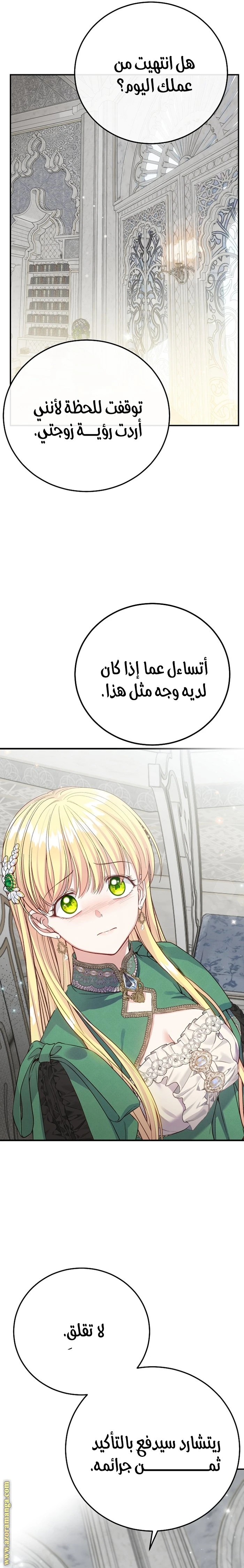 الصفحة 13