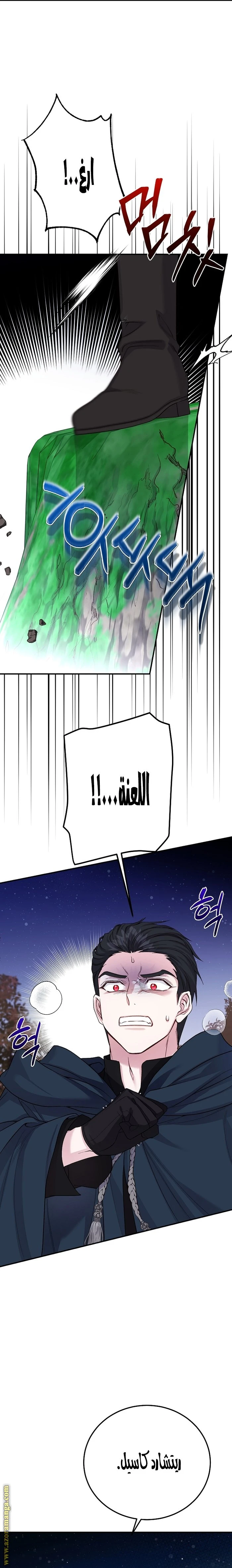 الصفحة 22
