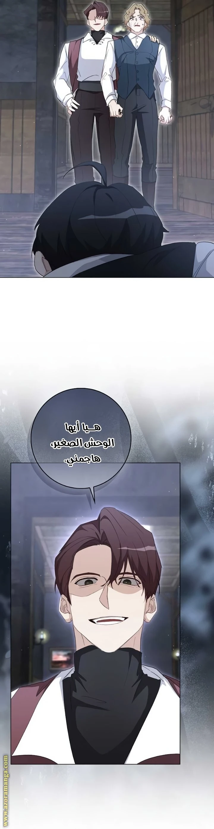 الصفحة 27