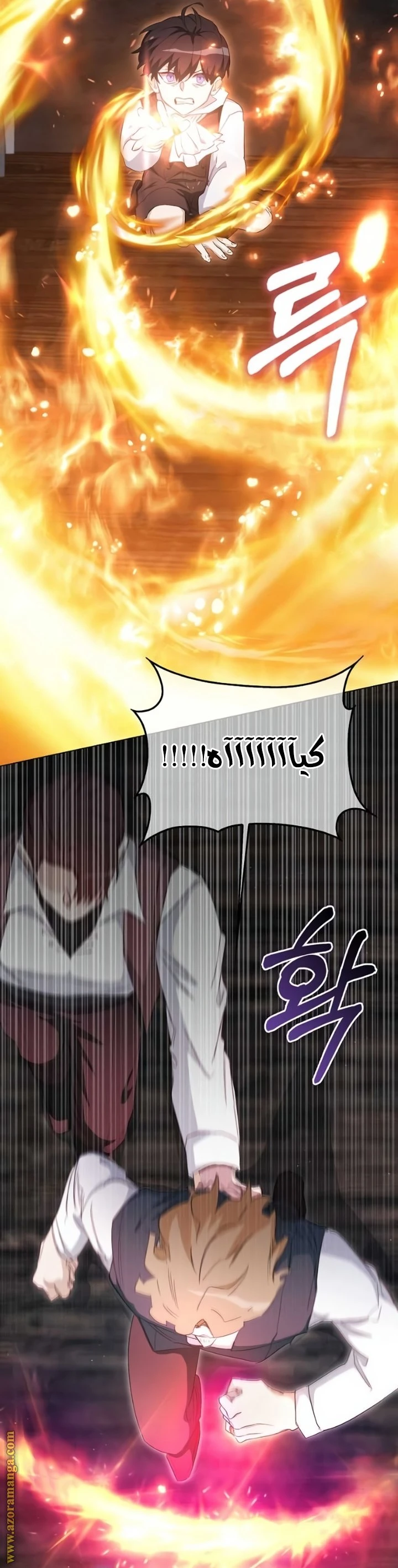 الصفحة 29