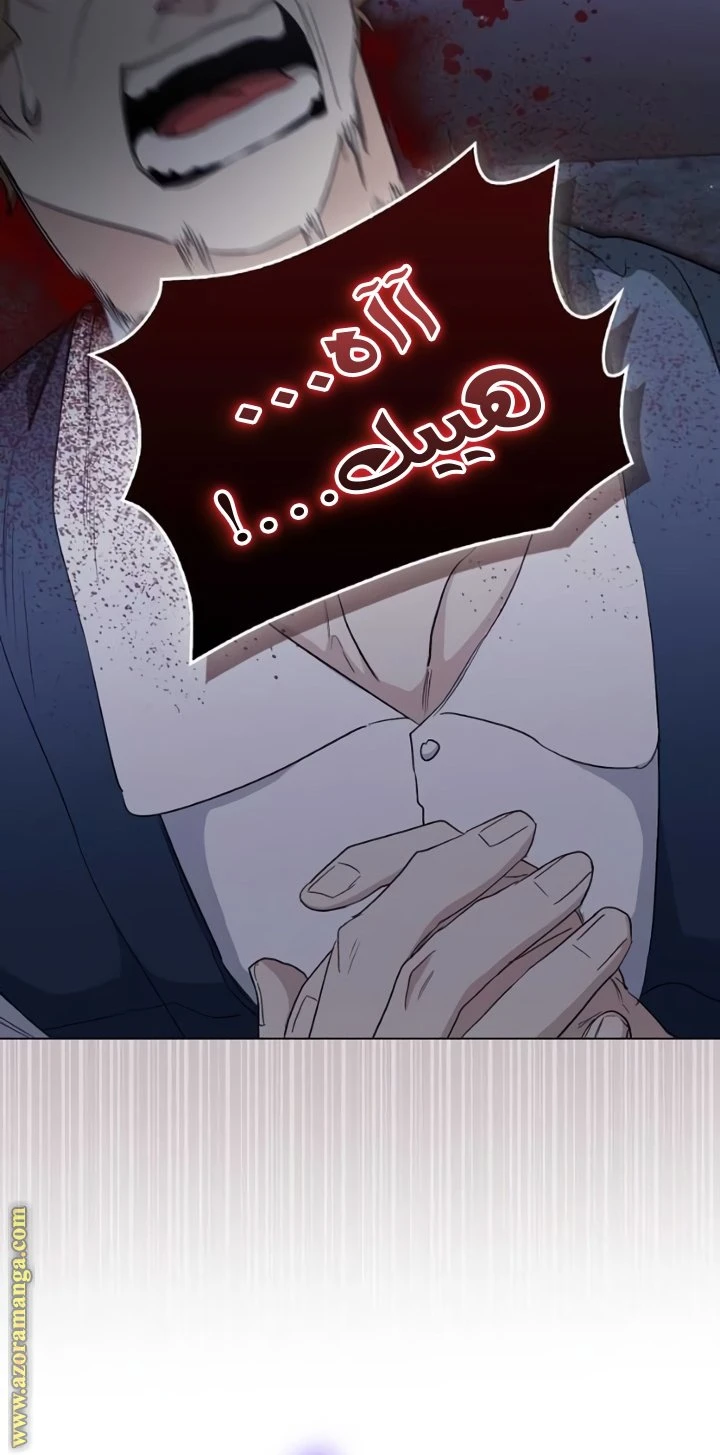 الصفحة 45