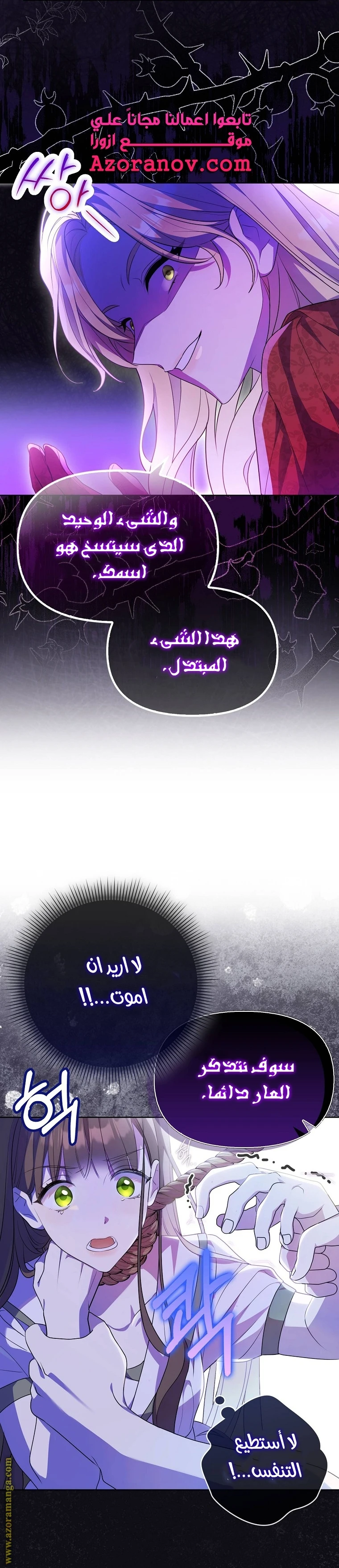 الصفحة 26