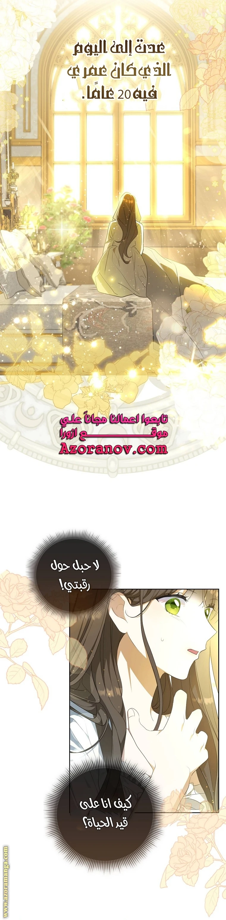 الصفحة 31