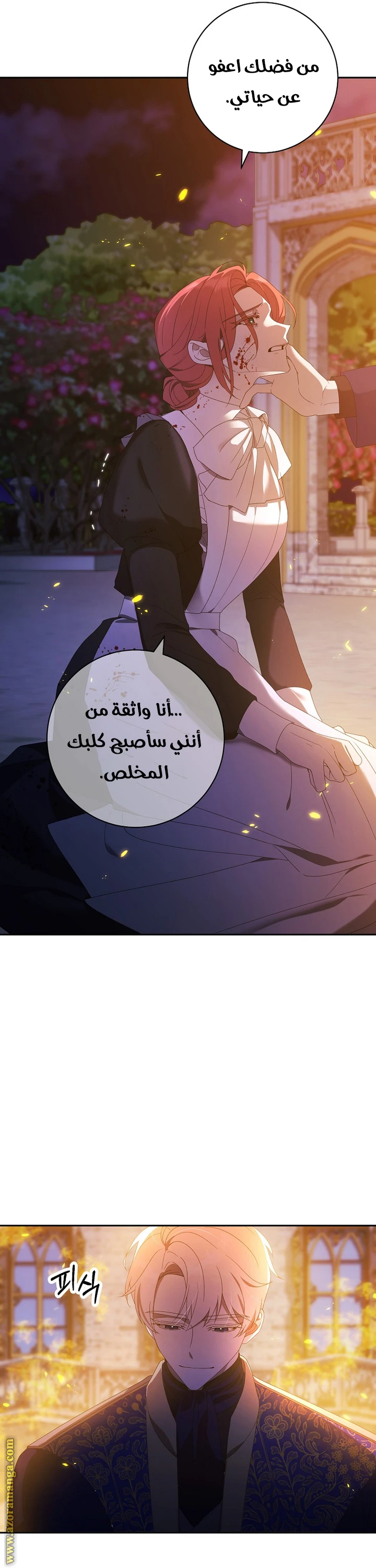 الصفحة 14