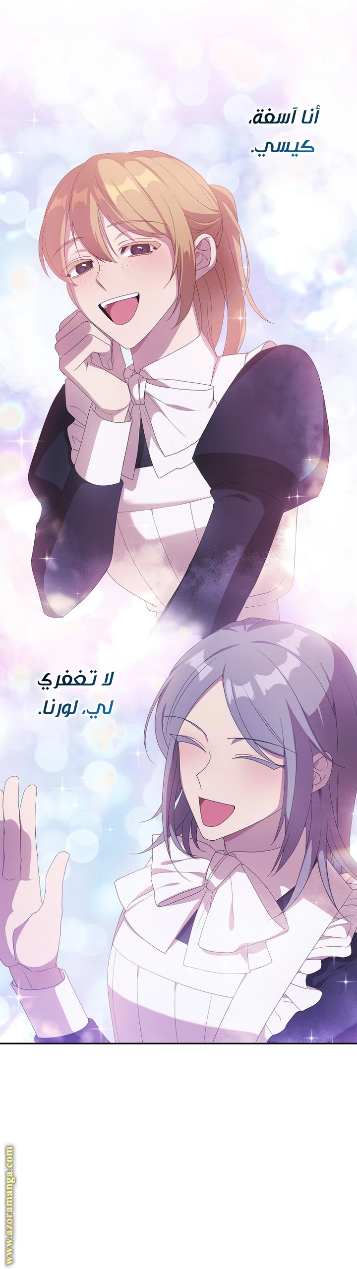 الصفحة 17