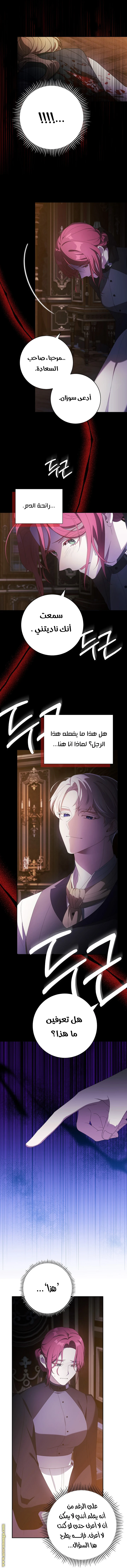 الصفحة 31