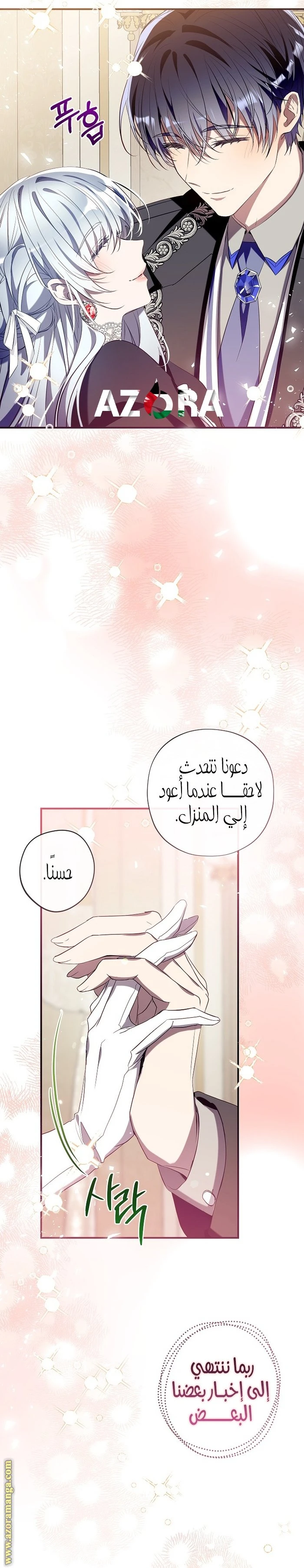 الصفحة 26