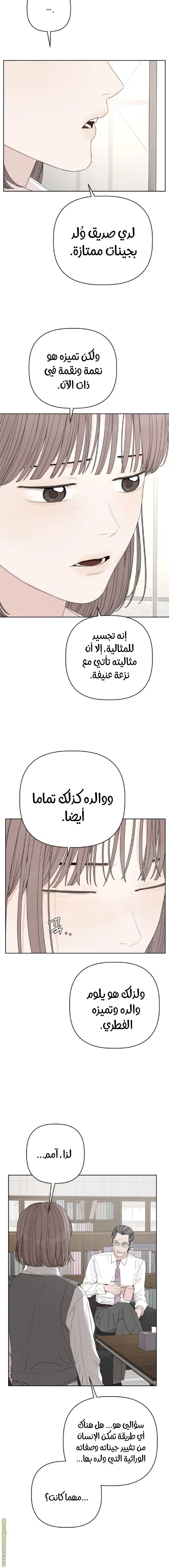 الصفحة 13